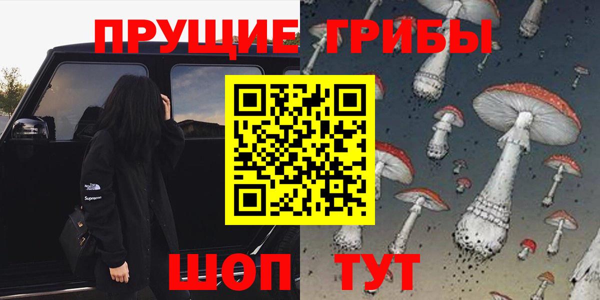 Котельники  Псилоцибиновые грибы мухоморы  Псилоцибиновые грибы ЛСД  Вход с VPN 