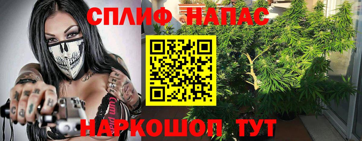 Шишки марихуана марихуана Котельники
